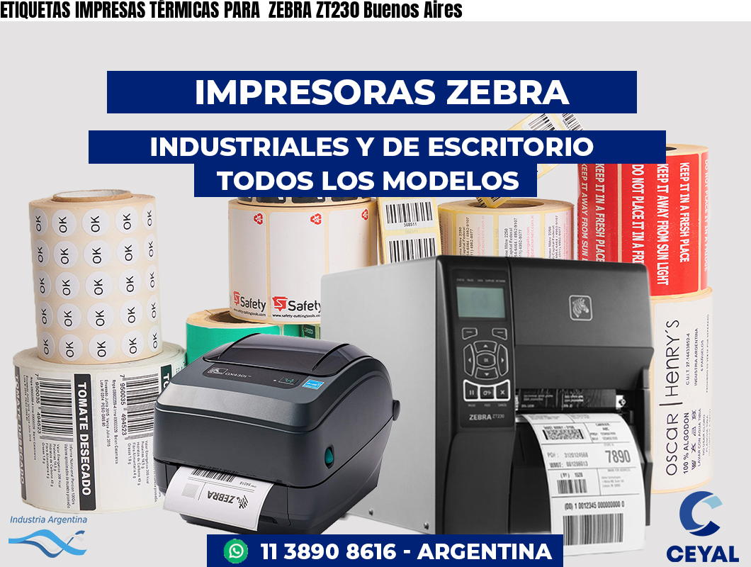 ETIQUETAS IMPRESAS TÉRMICAS PARA ZEBRA ZT230 Buenos Aires