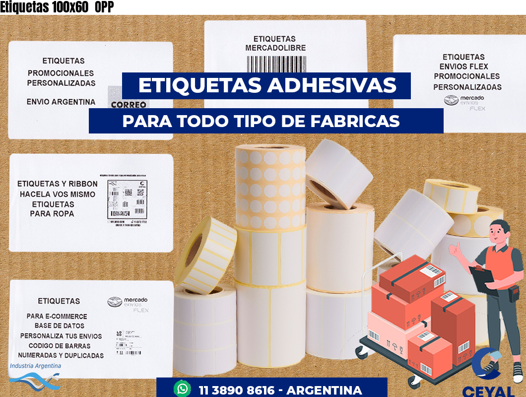 Etiquetas 100x60  OPP