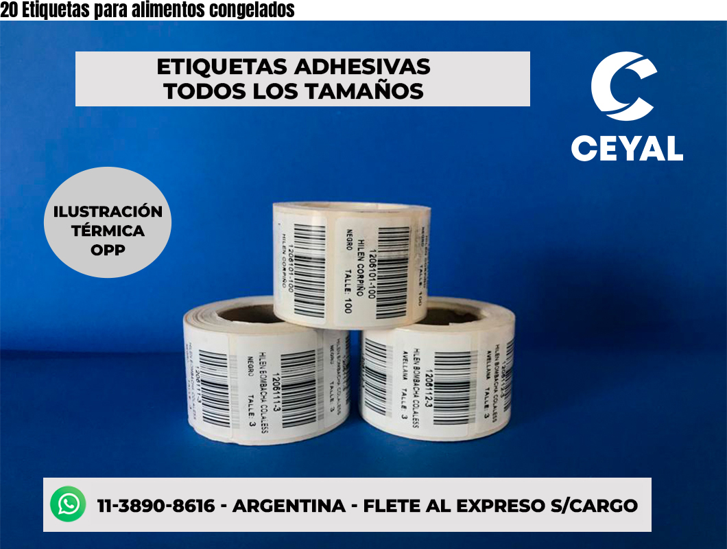 20 Etiquetas para alimentos congelados