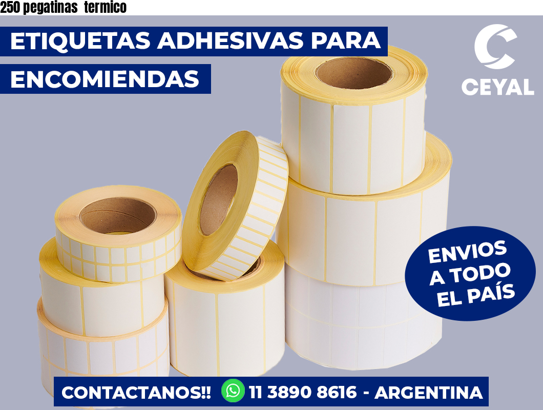 250 pegatinas termico