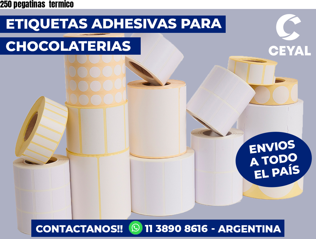 250 pegatinas termico