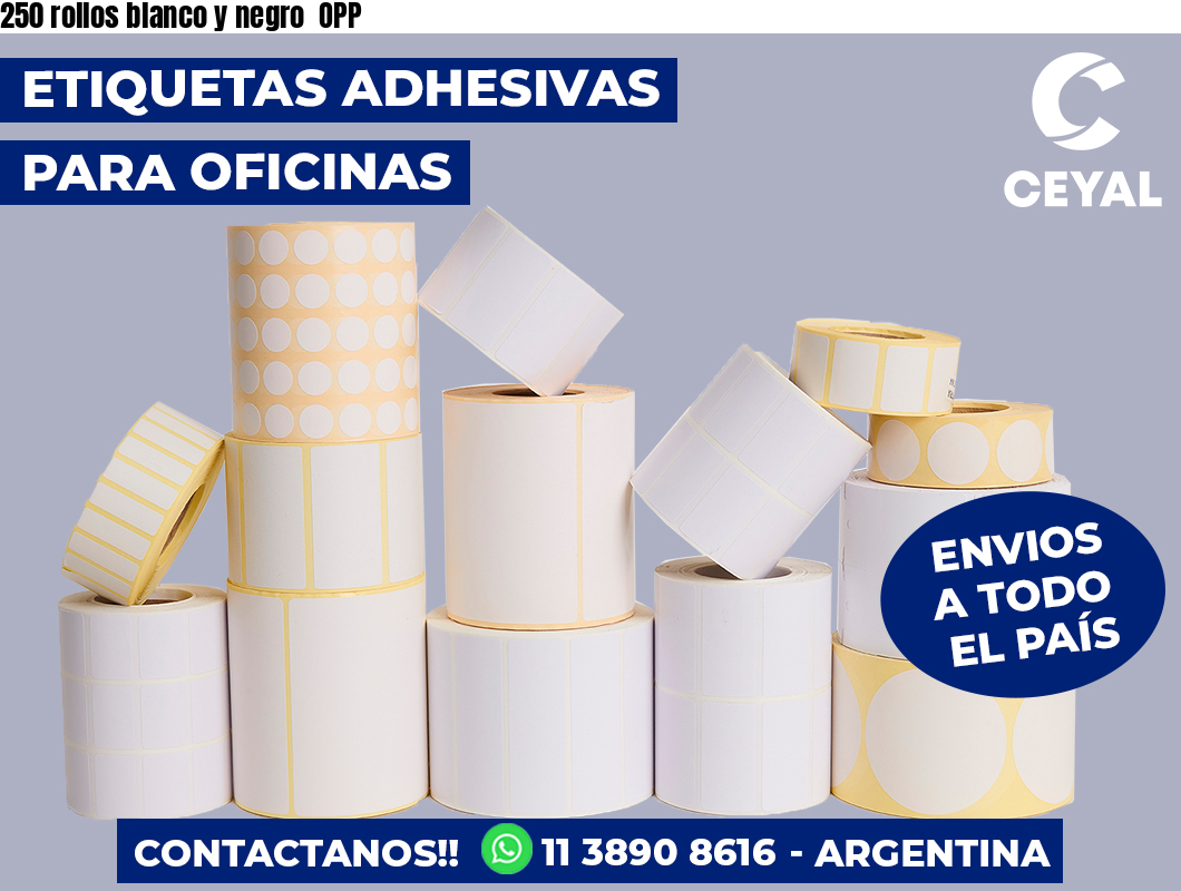 250 rollos blanco y negro OPP