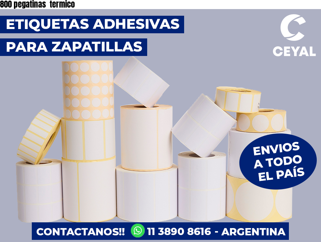 800 pegatinas termico