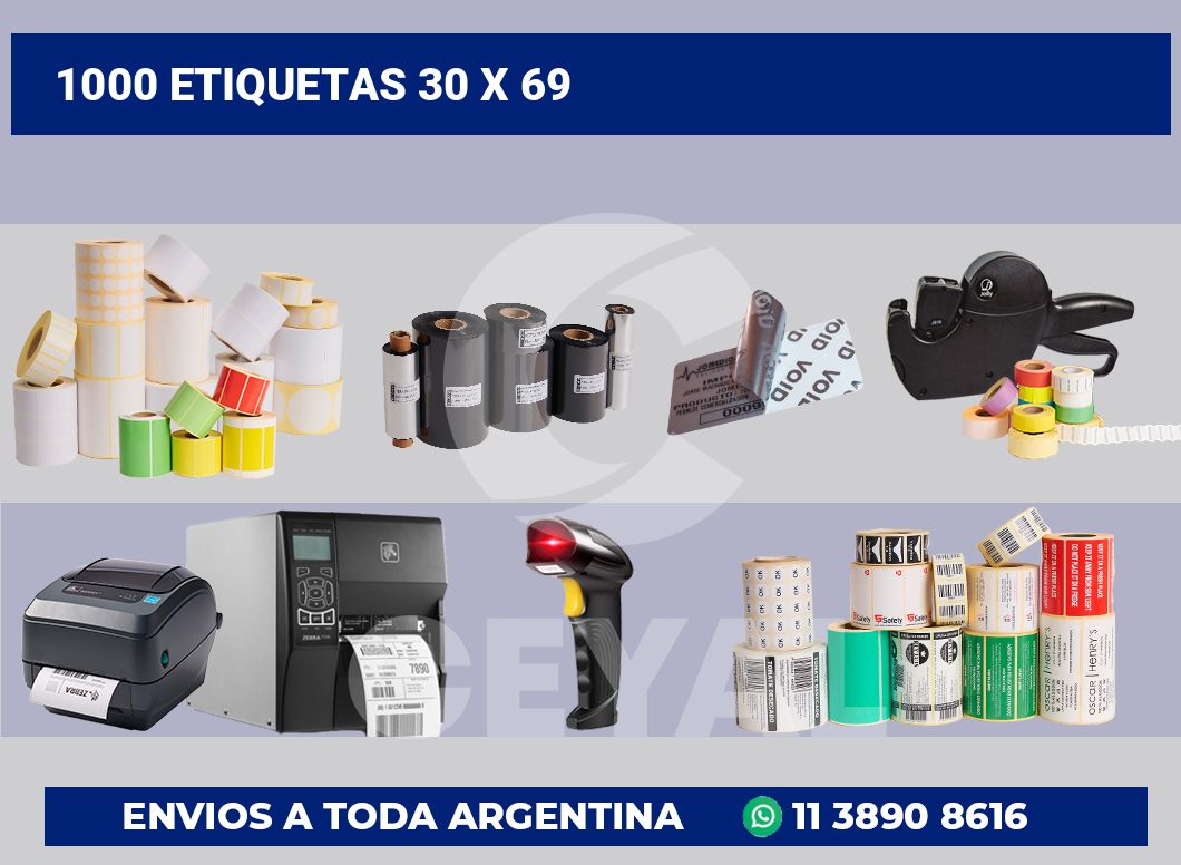 1000 etiquetas 30 x 69