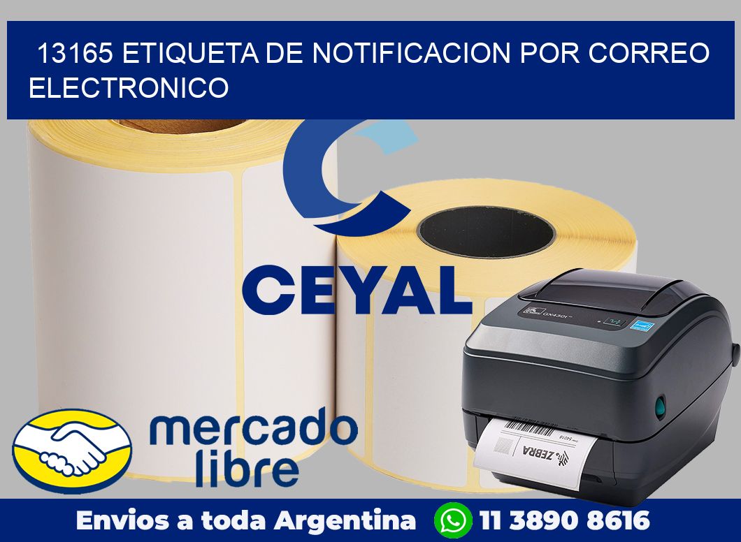13165 Etiqueta de notificacion por correo electronico