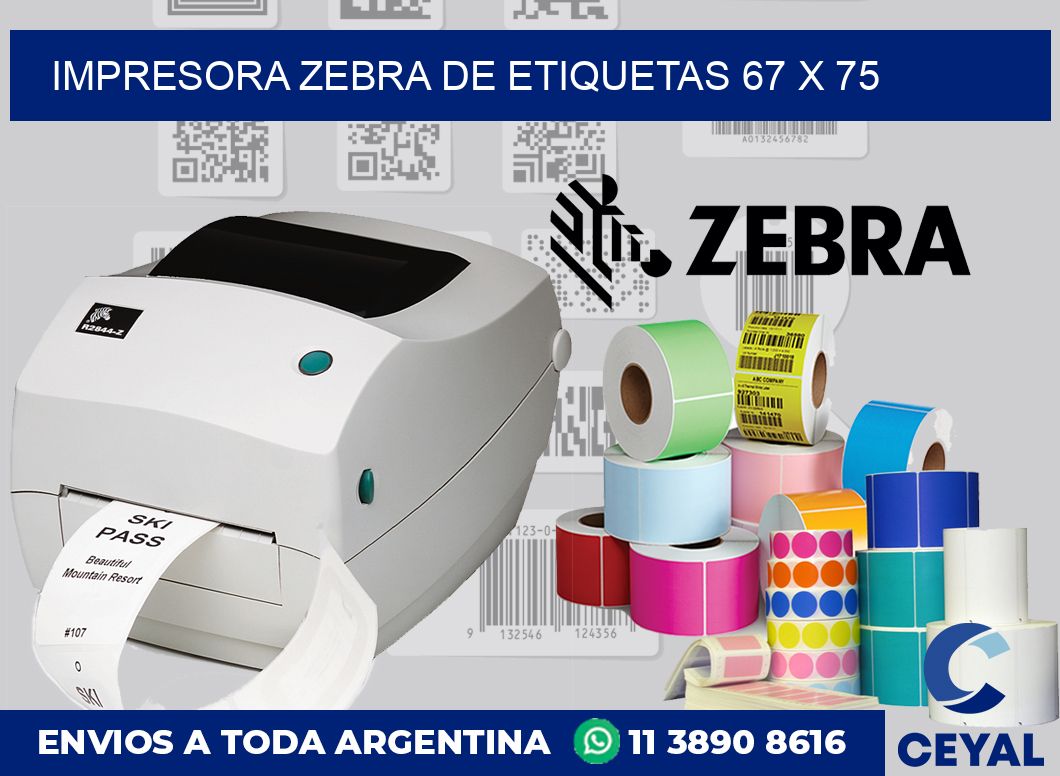 Impresora Zebra de etiquetas 67 x 75