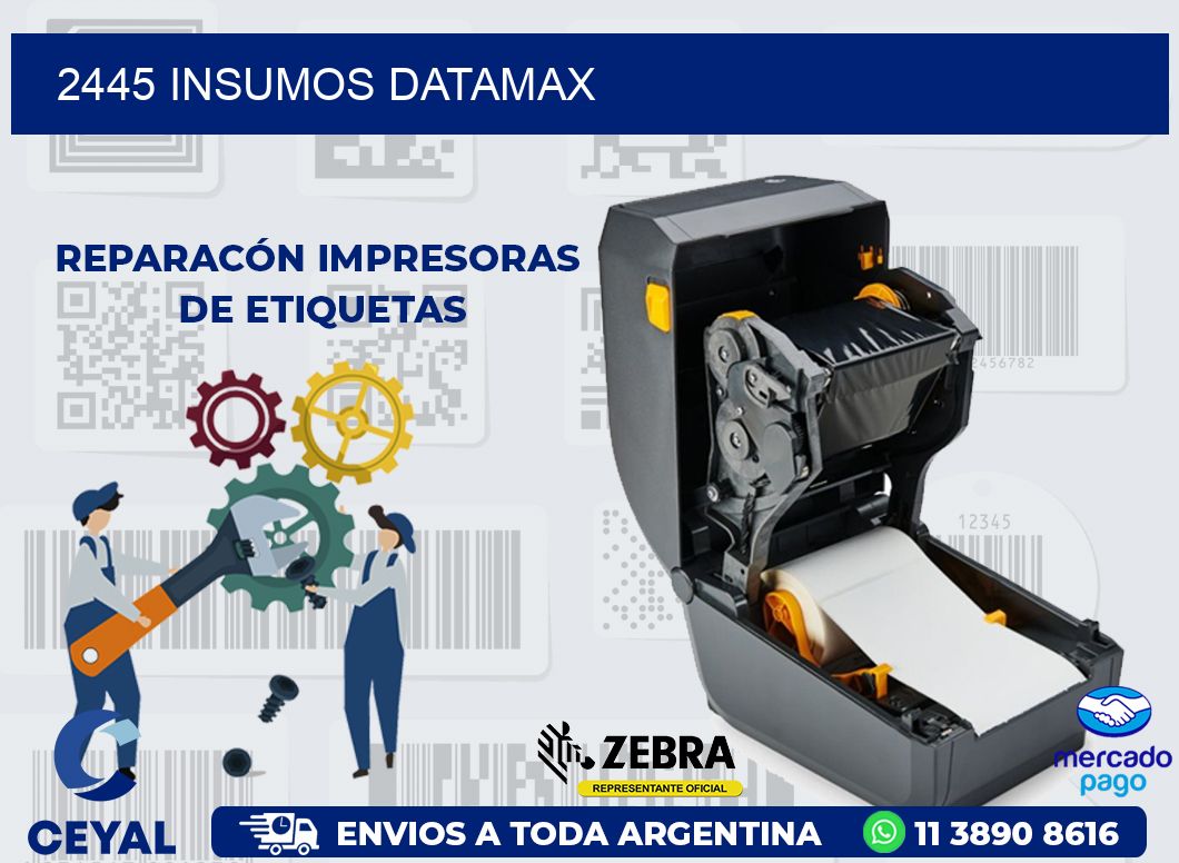 2445 INSUMOS DATAMAX