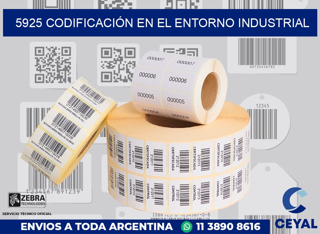 5925 CODIFICACIÓN EN EL ENTORNO INDUSTRIAL