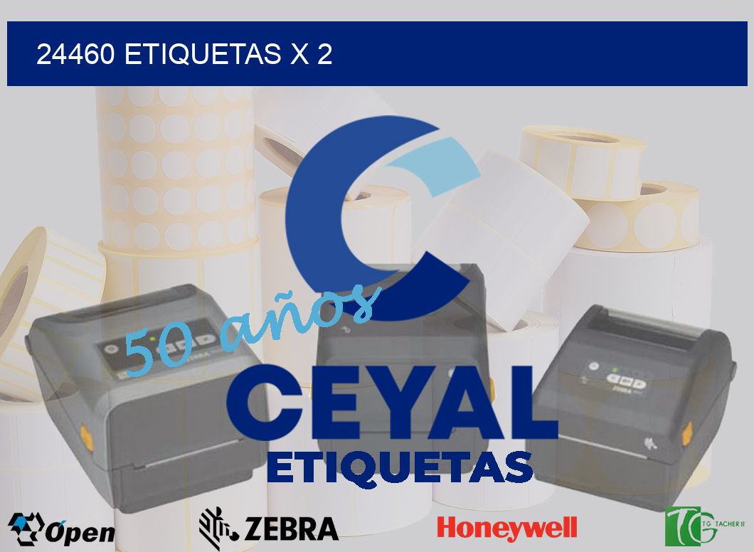 24460 Etiquetas x 2