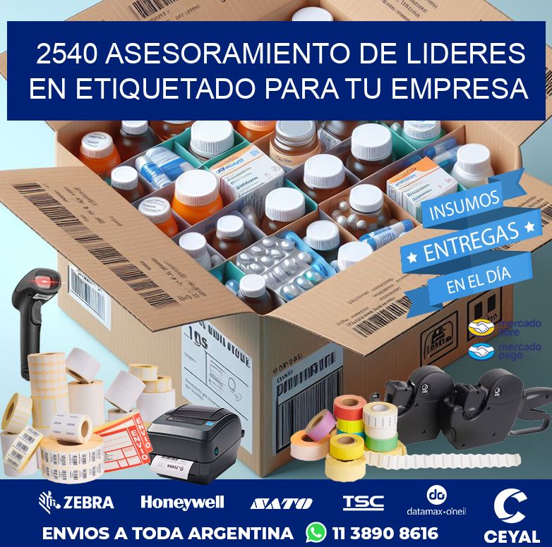 2540 ASESORAMIENTO DE LIDERES EN ETIQUETADO PARA TU EMPRESA