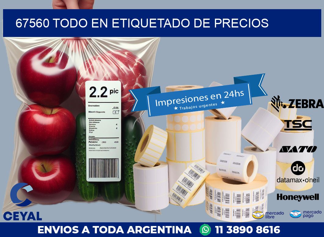 67560 TODO EN ETIQUETADO DE PRECIOS
