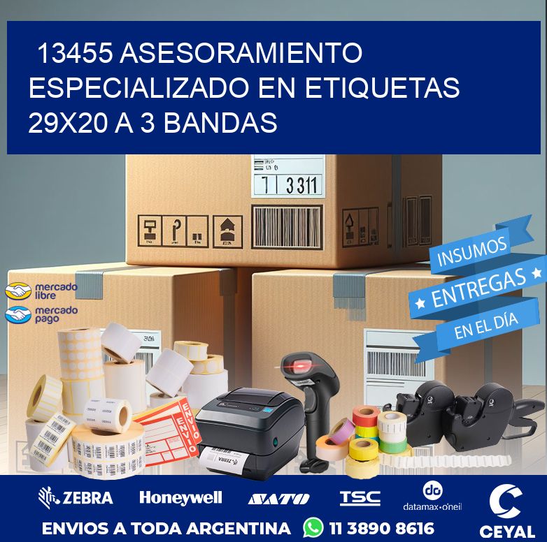 13455 ASESORAMIENTO ESPECIALIZADO EN ETIQUETAS 29X20 A 3 BANDAS
