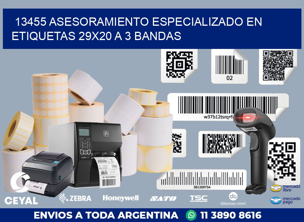 13455 ASESORAMIENTO ESPECIALIZADO EN ETIQUETAS 29X20 A 3 BANDAS