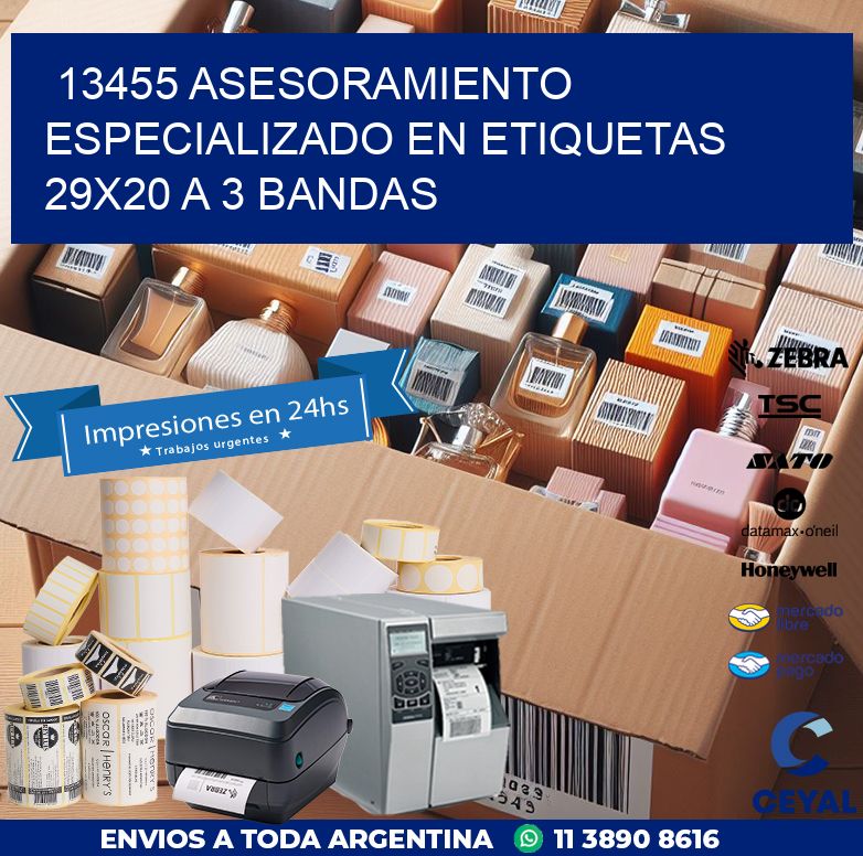 13455 ASESORAMIENTO ESPECIALIZADO EN ETIQUETAS 29X20 A 3 BANDAS