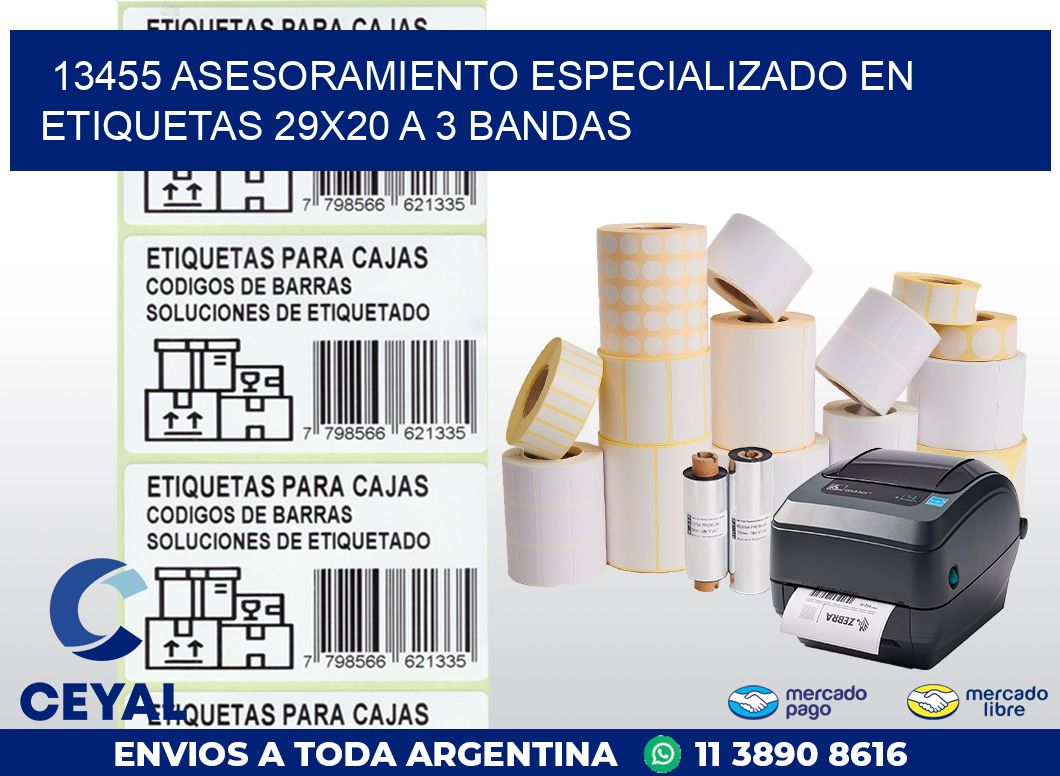 13455 ASESORAMIENTO ESPECIALIZADO EN ETIQUETAS 29X20 A 3 BANDAS