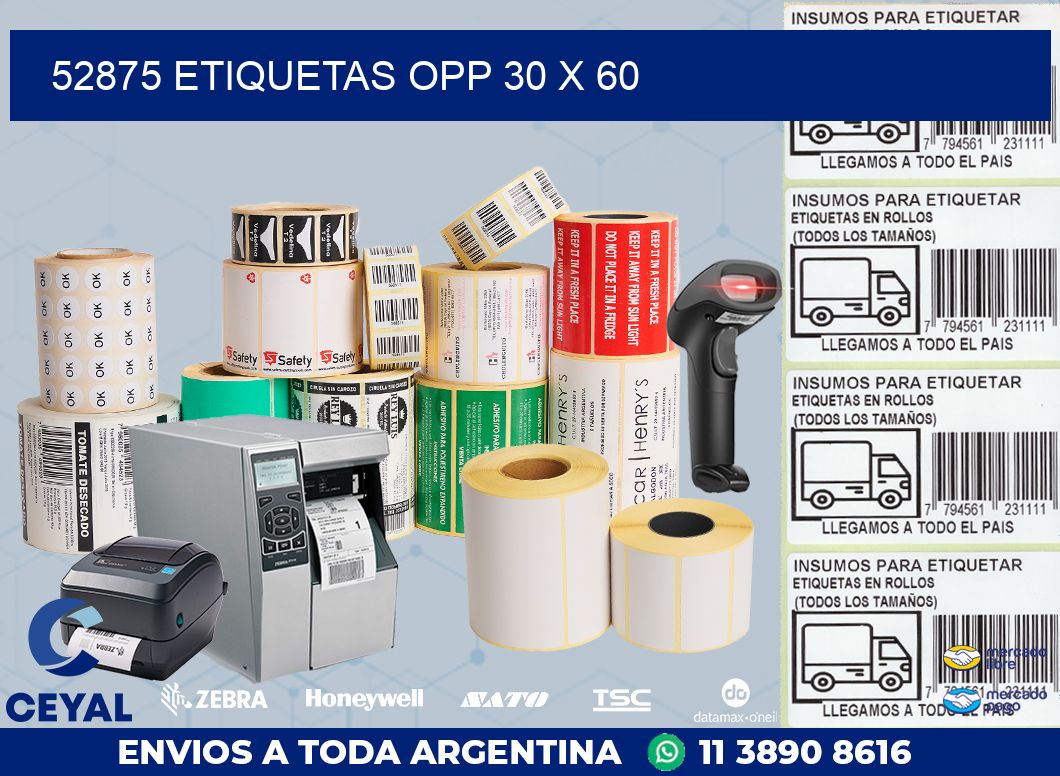52875 ETIQUETAS OPP 30 X 60