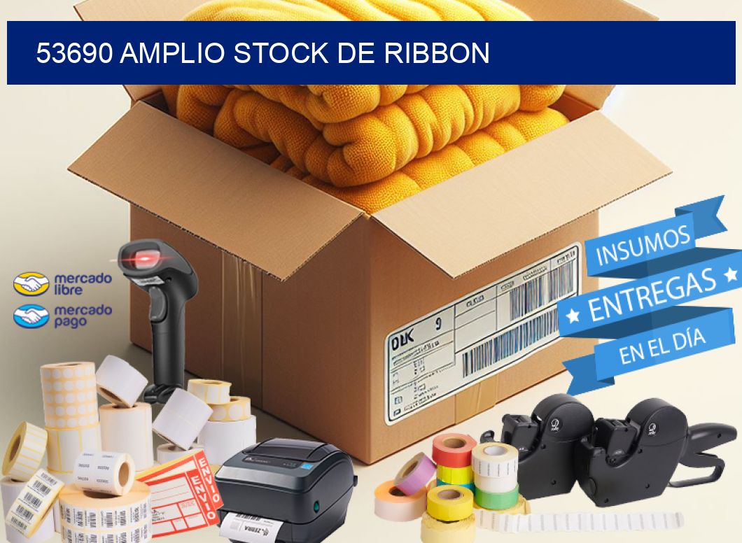 53690 AMPLIO STOCK DE RIBBON