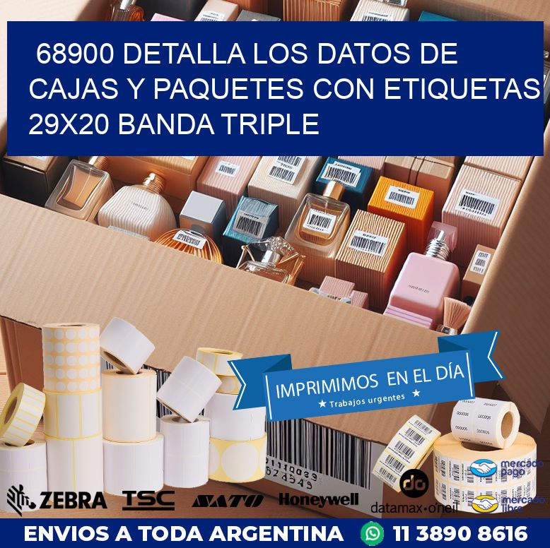 68900 DETALLA LOS DATOS DE CAJAS Y PAQUETES CON ETIQUETAS 29X20 BANDA TRIPLE
