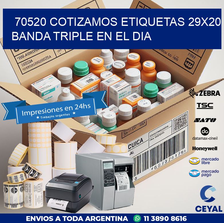 70520 COTIZAMOS ETIQUETAS 29X20 BANDA TRIPLE EN EL DIA