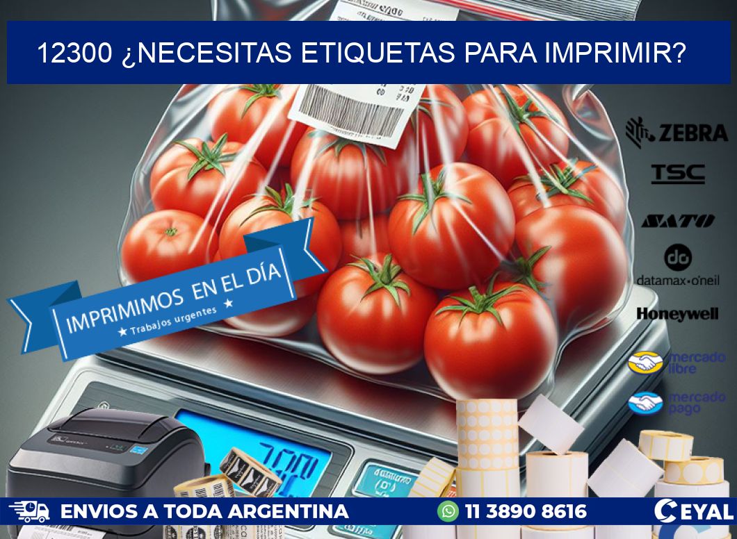 12300 ¿NECESITAS ETIQUETAS PARA IMPRIMIR?
