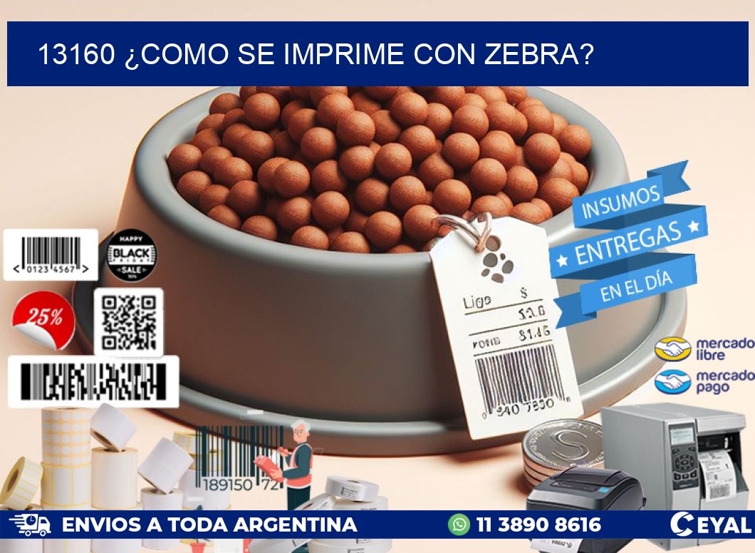 13160 ¿COMO SE IMPRIME CON ZEBRA?