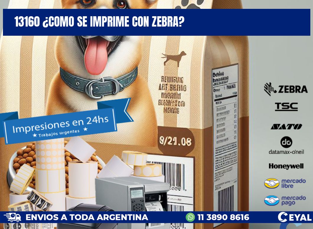 13160 ¿COMO SE IMPRIME CON ZEBRA?