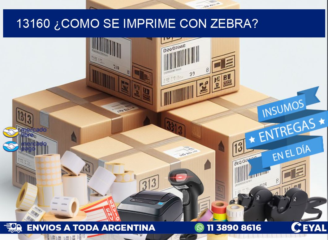 13160 ¿COMO SE IMPRIME CON ZEBRA?