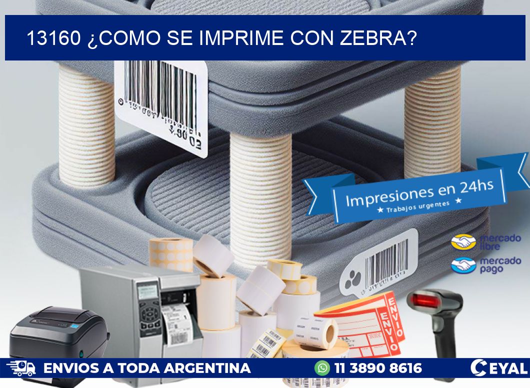 13160 ¿COMO SE IMPRIME CON ZEBRA?
