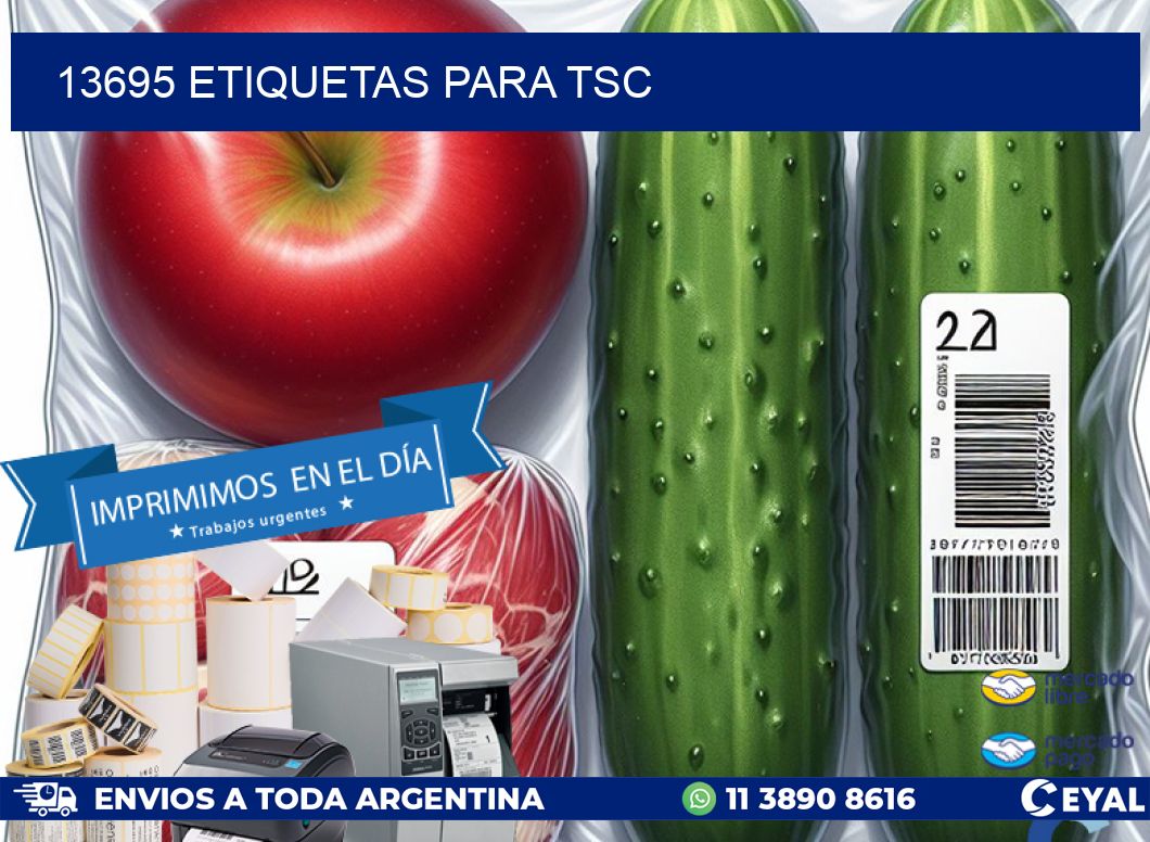 13695 ETIQUETAS PARA TSC