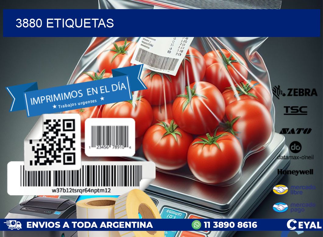 3880 ETIQUETAS