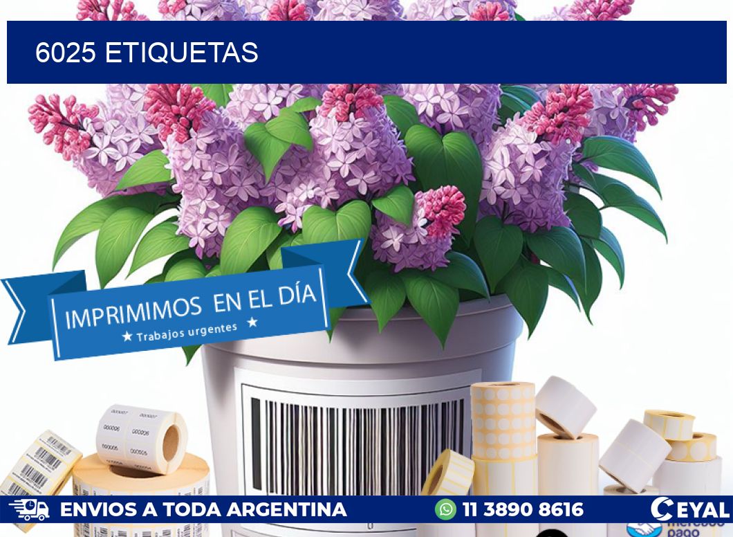 6025 ETIQUETAS