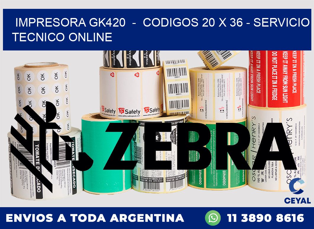 IMPRESORA GK420  -  CODIGOS 20 x 36 - SERVICIO TECNICO ONLINE