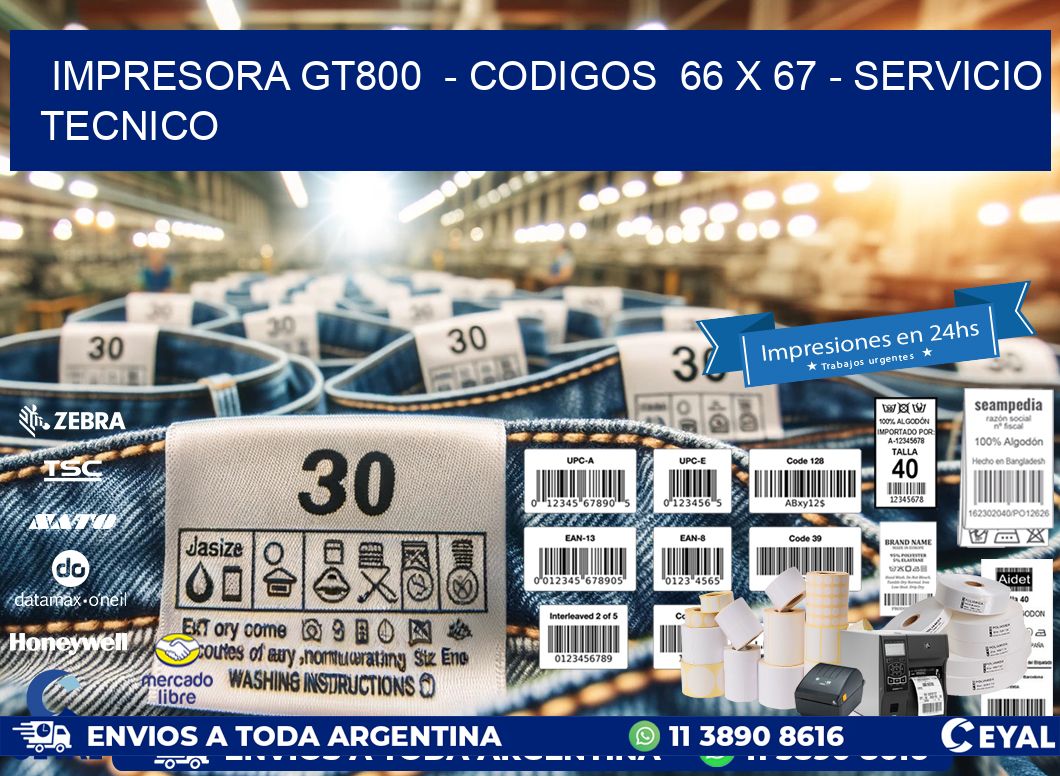 IMPRESORA GT800  - CODIGOS  66 x 67 - SERVICIO TECNICO