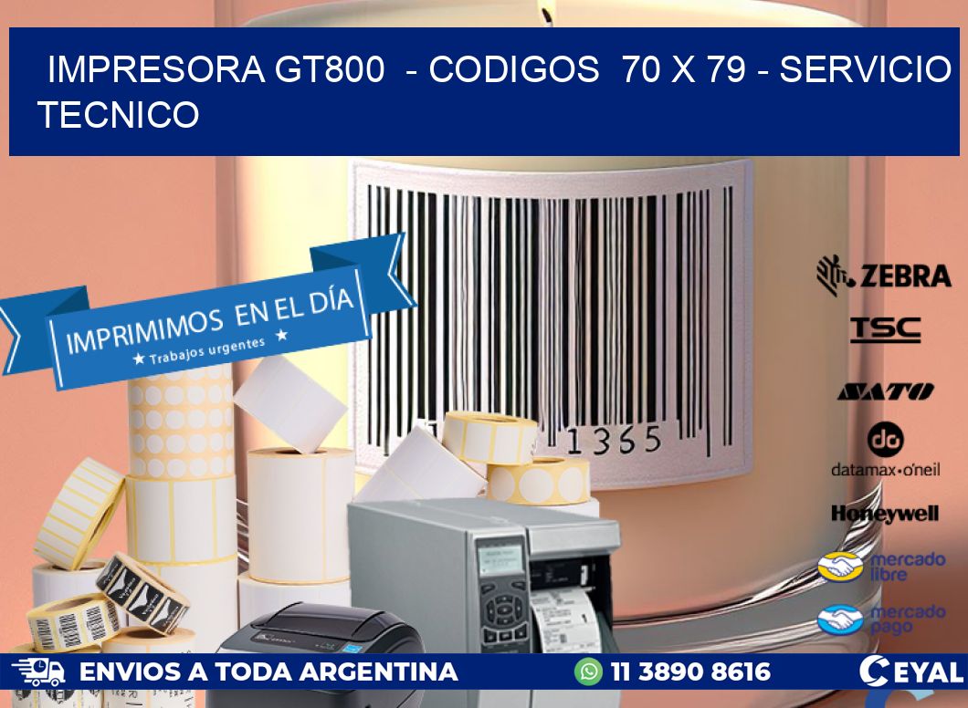 IMPRESORA GT800  - CODIGOS  70 x 79 - SERVICIO TECNICO