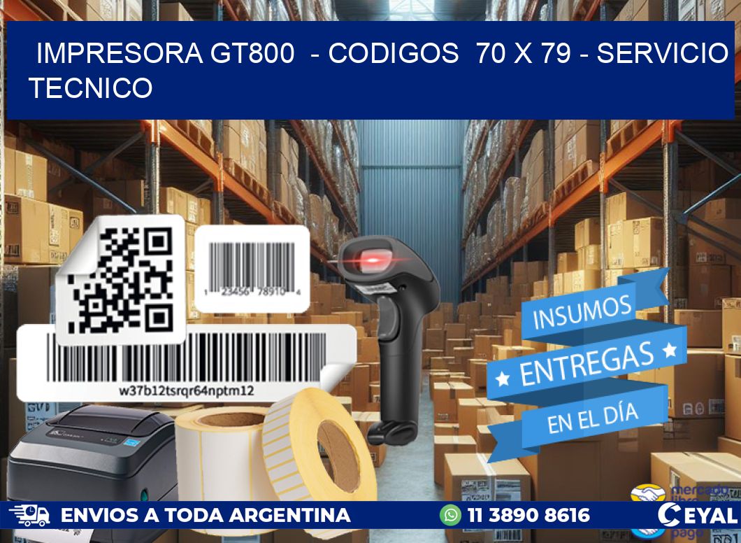 IMPRESORA GT800  - CODIGOS  70 x 79 - SERVICIO TECNICO
