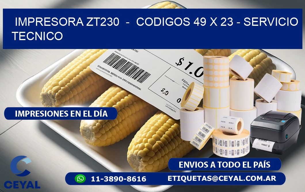 IMPRESORA ZT230 - CODIGOS 49 x 23 - SERVICIO TECNICO