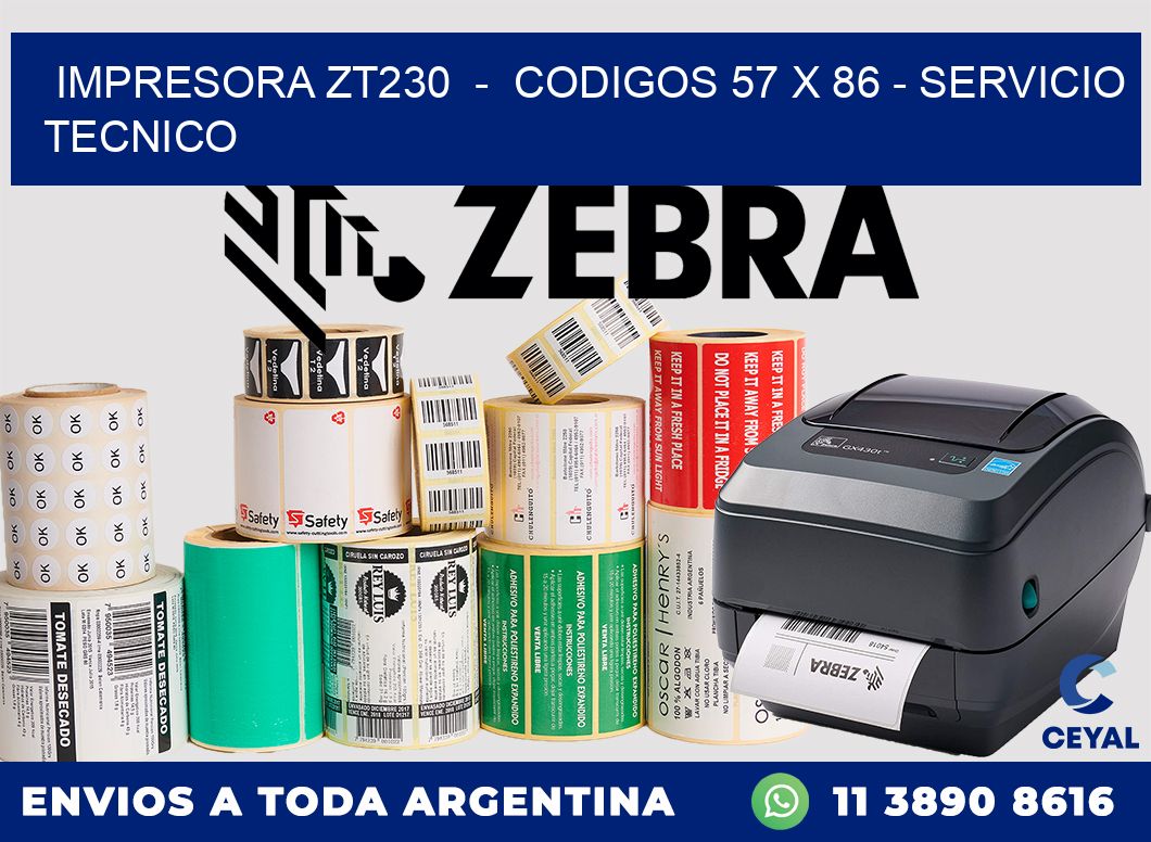 IMPRESORA ZT230 - CODIGOS 57 x 86 - SERVICIO TECNICO