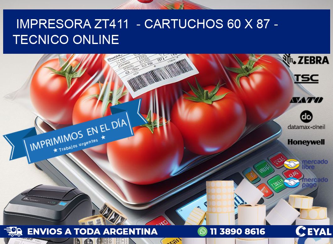 IMPRESORA ZT411  - CARTUCHOS 60 x 87 - TECNICO ONLINE