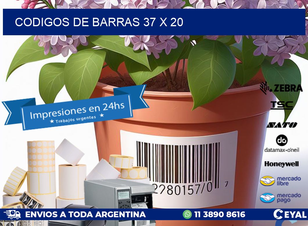 codigos de barras 37 x 20