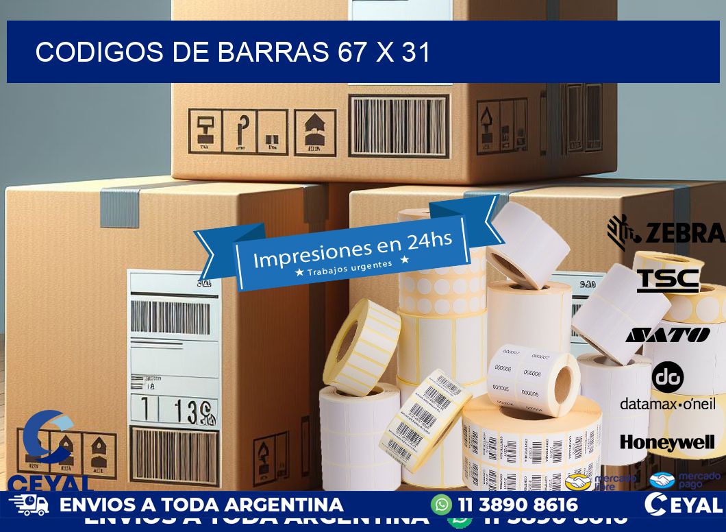 codigos de barras 67 x 31