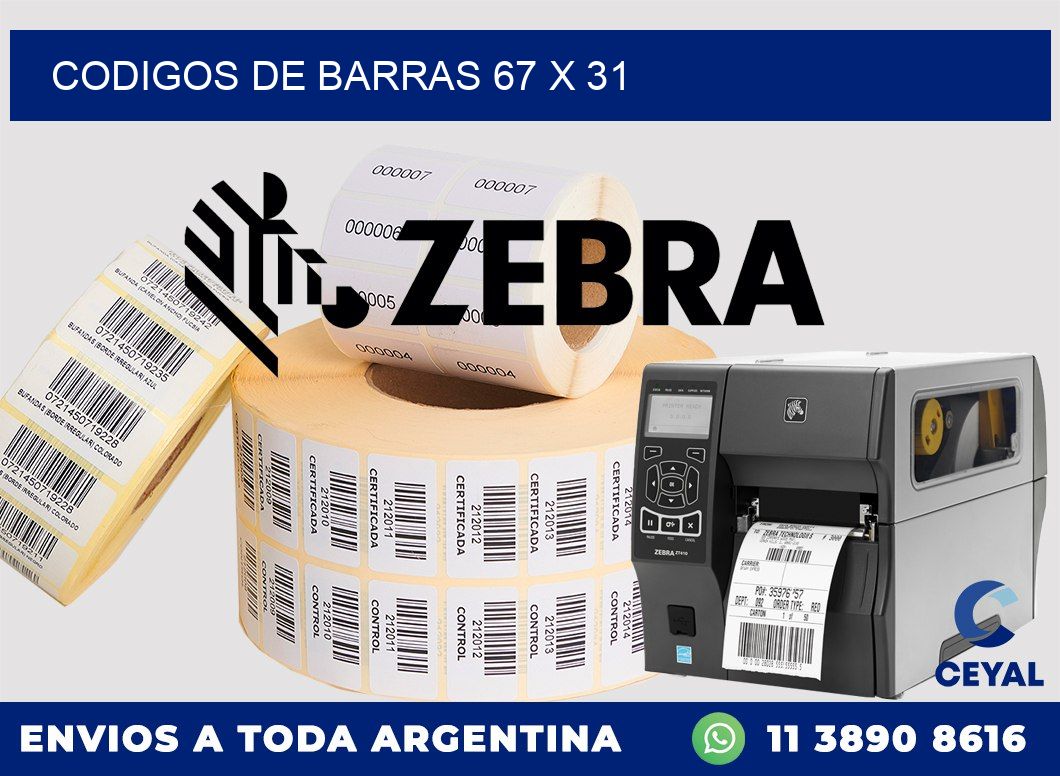 codigos de barras 67 x 31