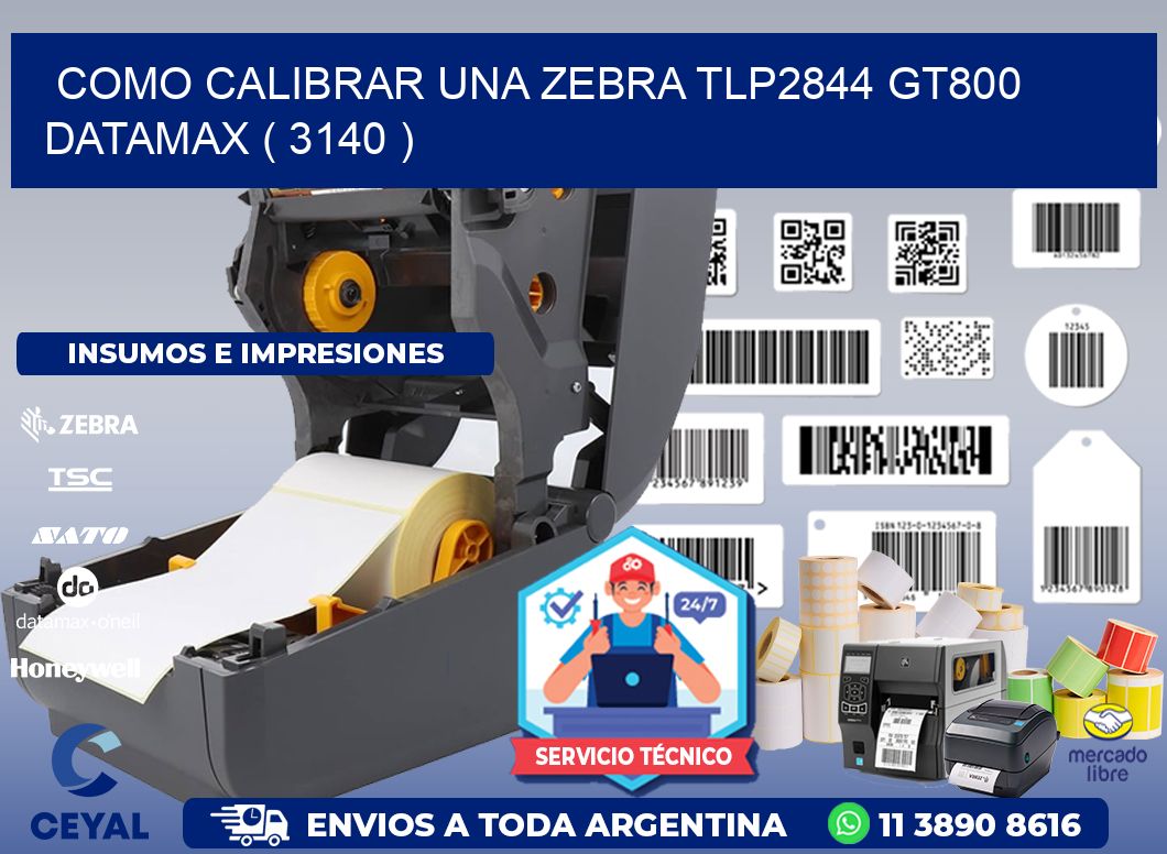 COMO CALIBRAR UNA ZEBRA TLP2844 GT800 DATAMAX ( 3140 )