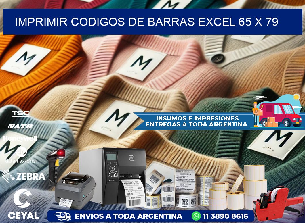 IMPRIMIR CODIGOS DE BARRAS EXCEL 65 x 79