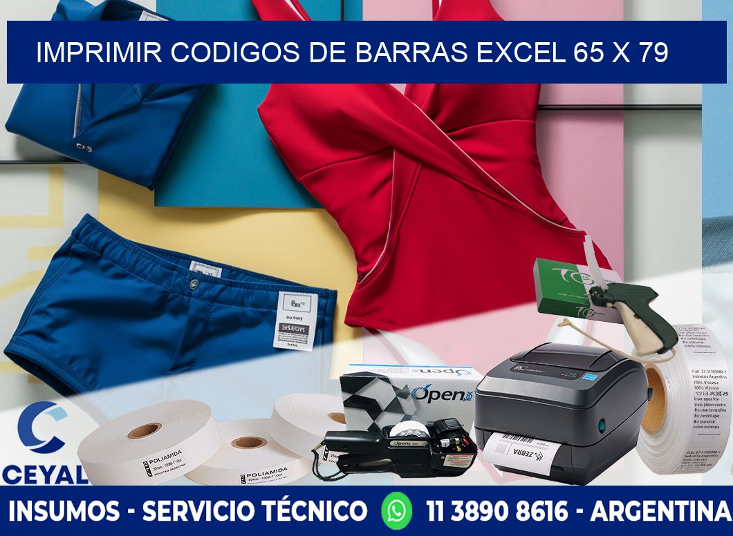 IMPRIMIR CODIGOS DE BARRAS EXCEL 65 x 79