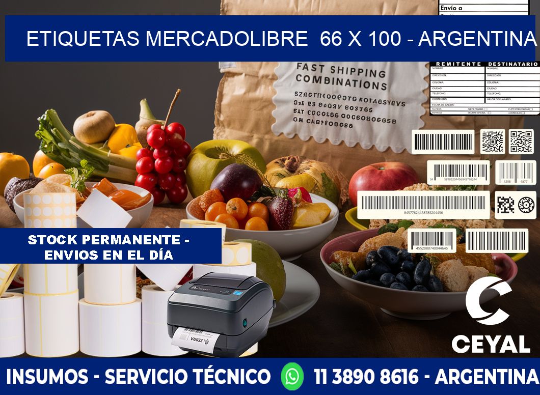 ETIQUETAS MERCADOLIBRE  66 x 100 - ARGENTINA