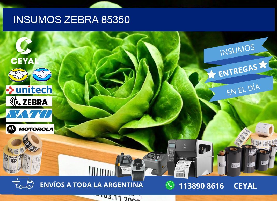INSUMOS ZEBRA 85350