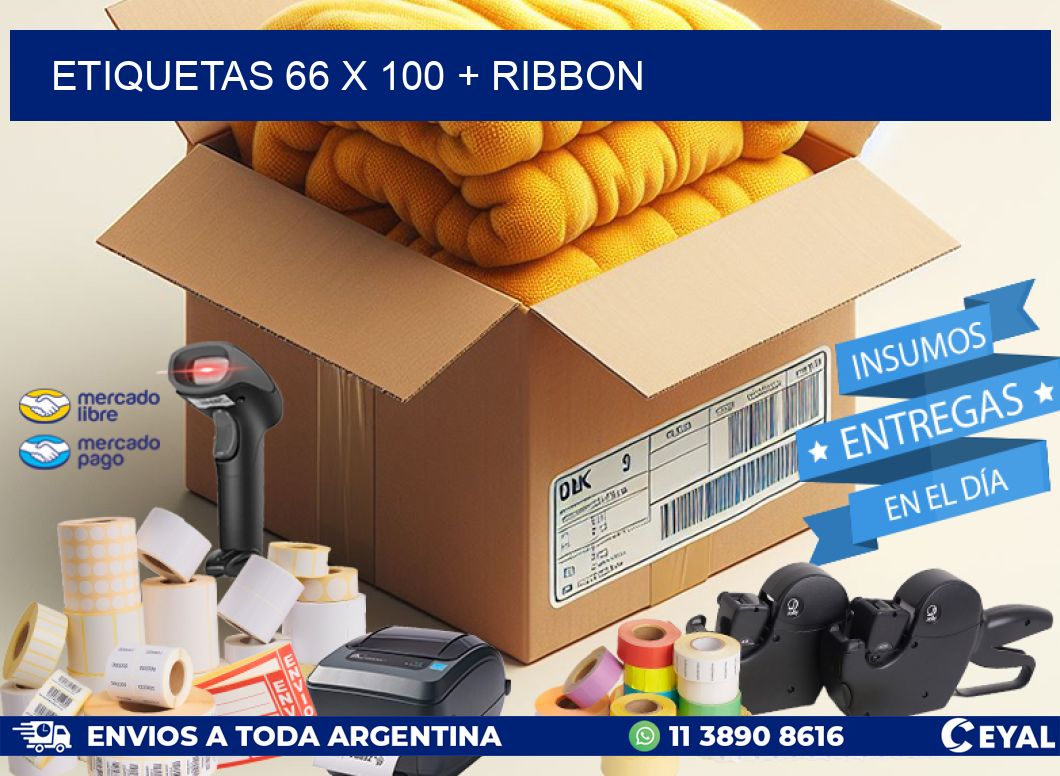 ETIQUETAS 66 x 100 + RIBBON