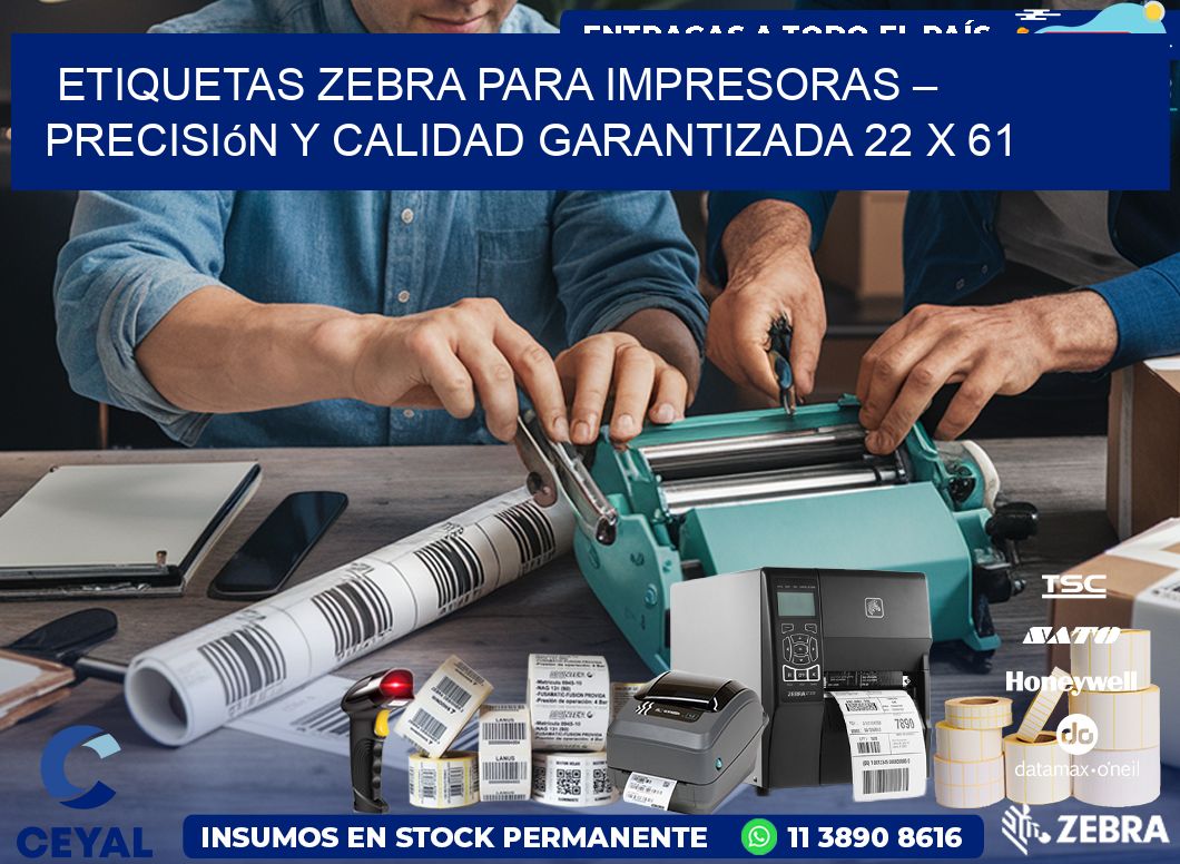 Etiquetas Zebra para Impresoras – Precisión y Calidad Garantizada 22 x 61