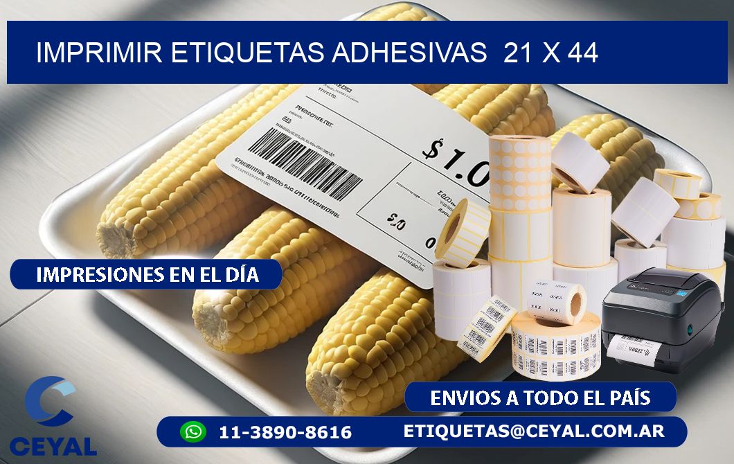 Imprimir Etiquetas adhesivas  21 x 44