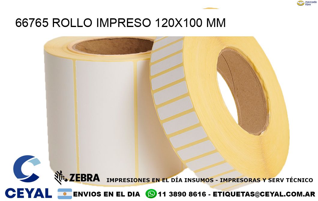 66765 ROLLO IMPRESO 120x100 mm
